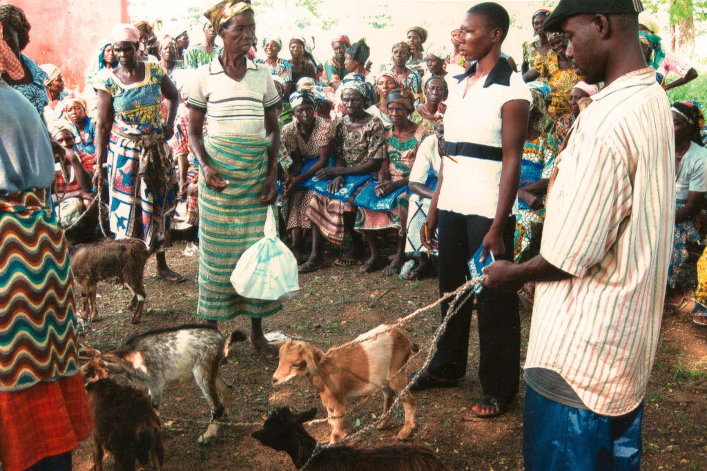 Work of Father Edwin Abanga